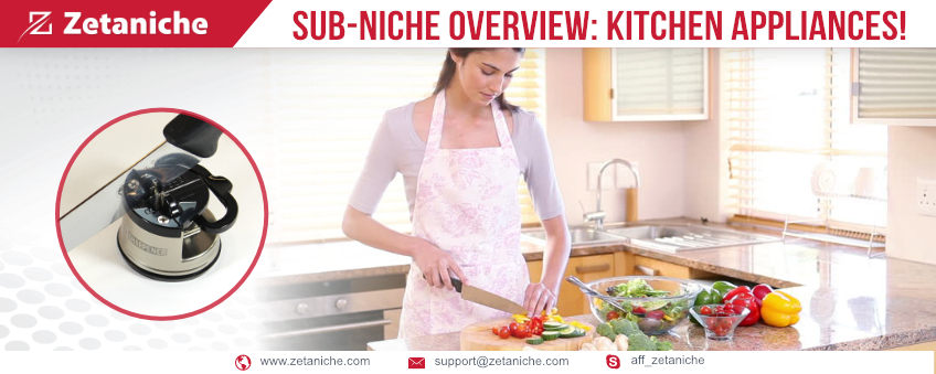 Sub-niche Overview: Kitchen appliances!